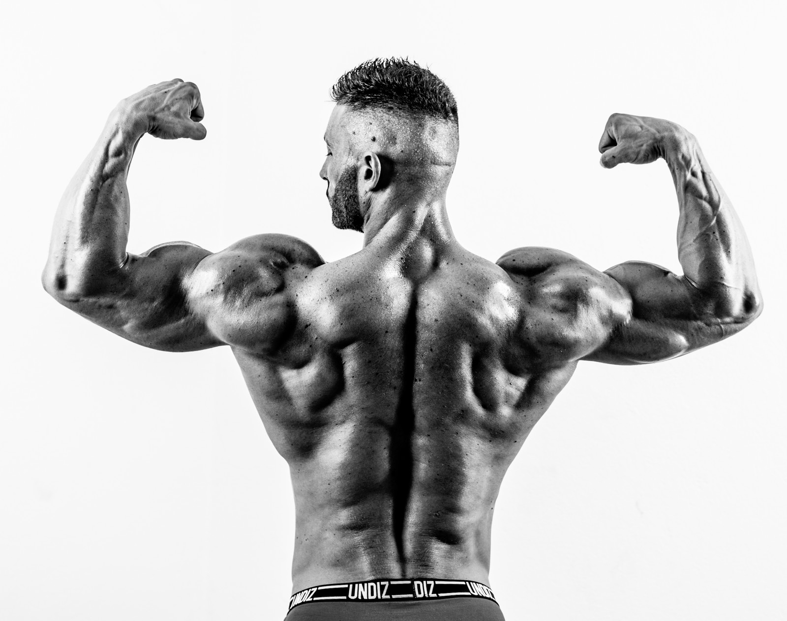 Mister UNIVERS 2015 - Yann Esteso